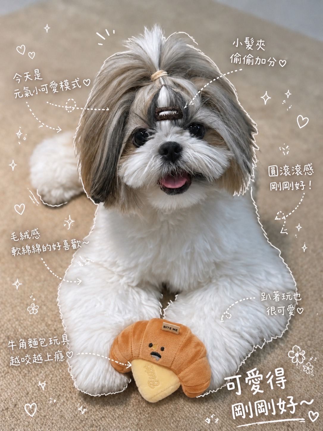 FurNest 毛孩生活小物與寵物用品選物照片縮圖