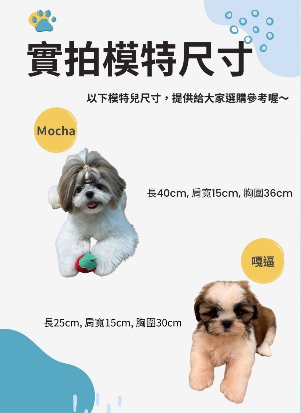 FurNest 實拍模特尺寸參考
