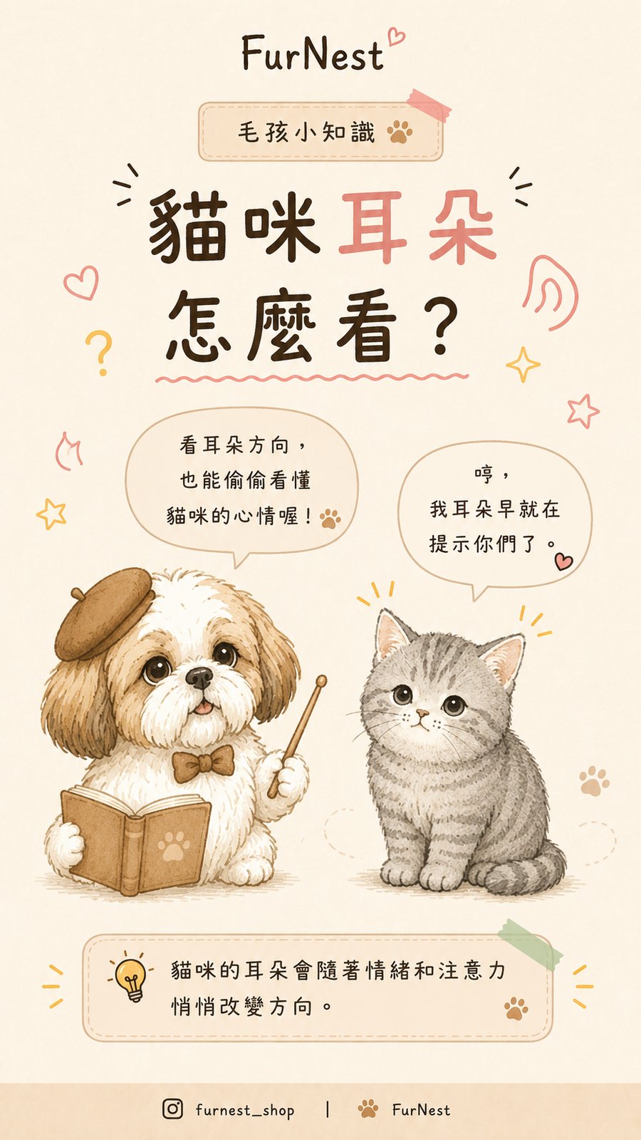 貓咪耳朵姿態變化小知識插圖，說明如何從耳朵觀察貓咪情緒與日常狀態 第 1 張