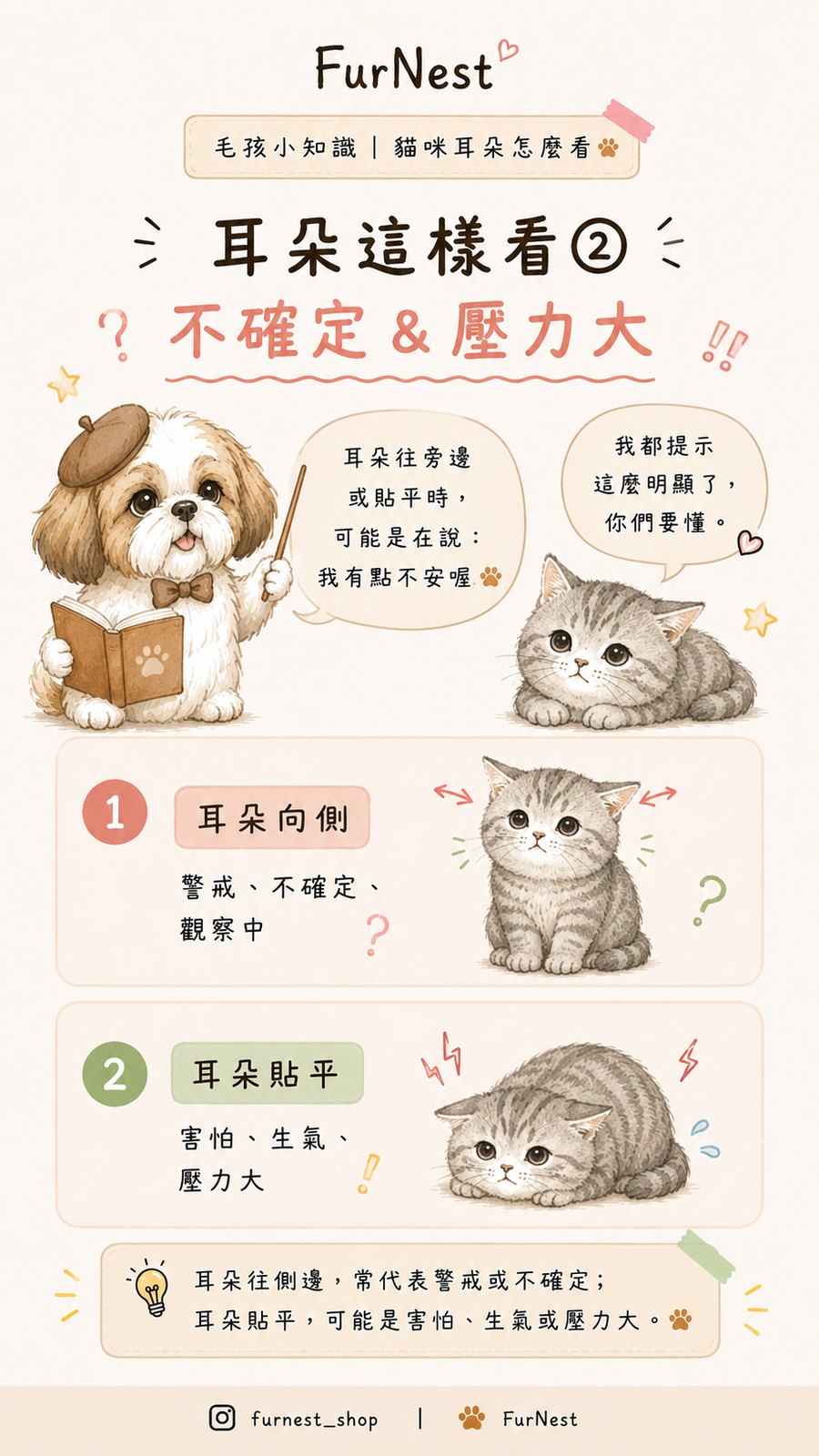 貓咪耳朵姿態變化小知識插圖，說明如何從耳朵觀察貓咪情緒與日常狀態 第 3 張