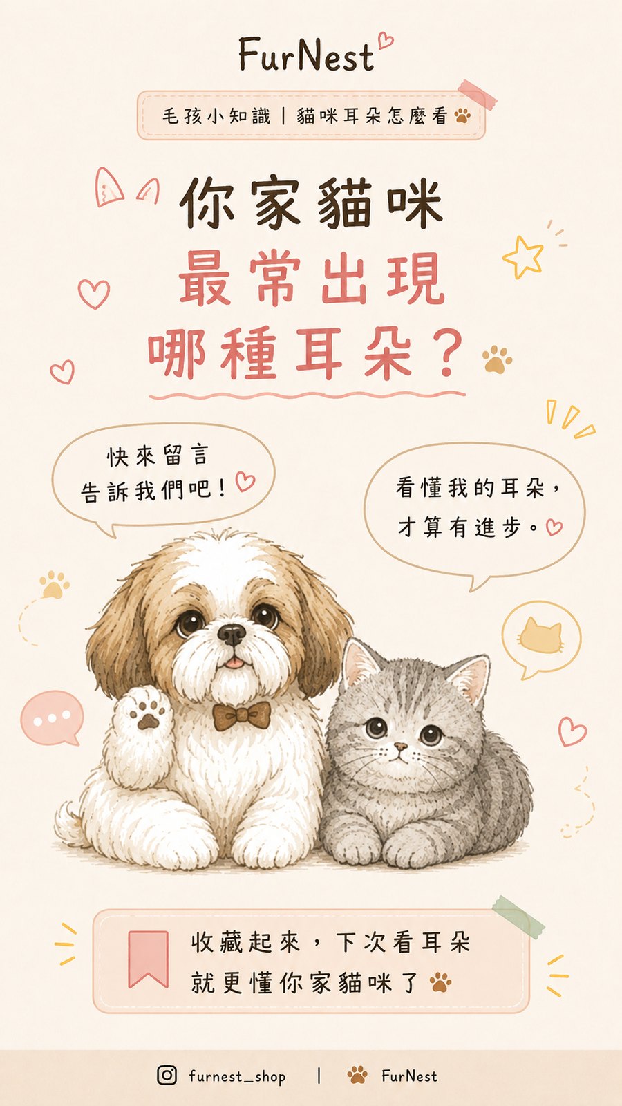 貓咪耳朵姿態變化小知識插圖，說明如何從耳朵觀察貓咪情緒與日常狀態 第 4 張