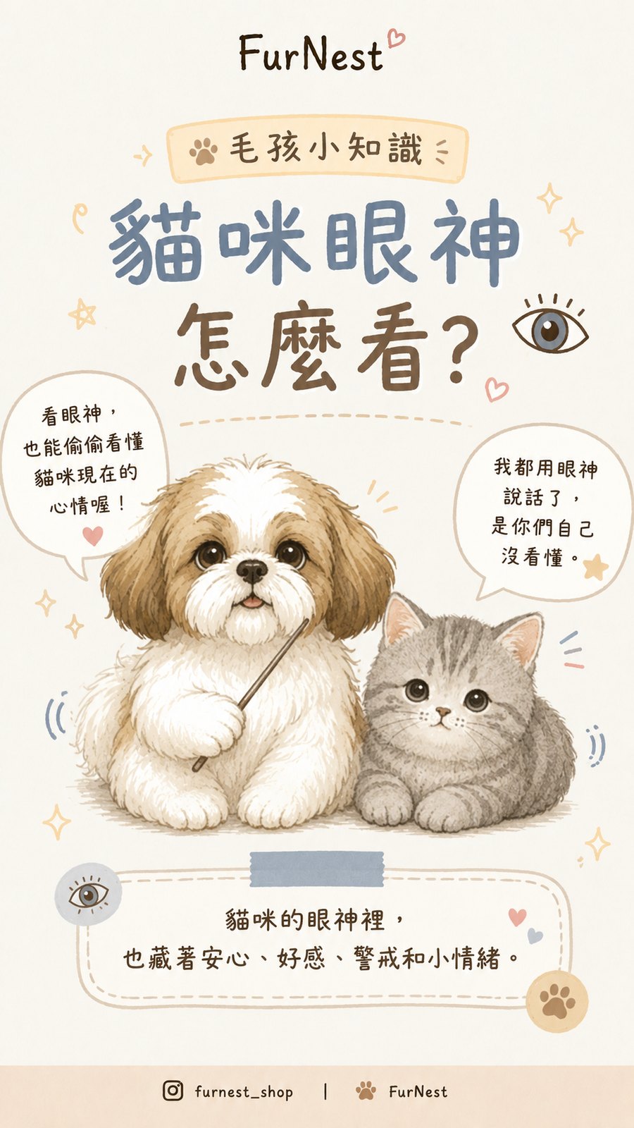 貓咪的眼睛怎麼看，貓咪眼神與情緒小知識插圖 第 1 張