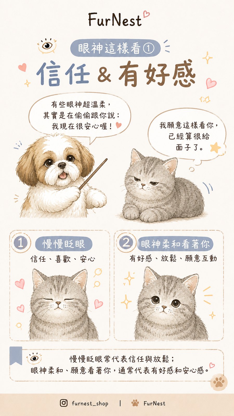 貓咪眼神與瞳孔變化小知識插圖，說明如何從眼睛觀察貓咪情緒與日常狀態 第 2 張