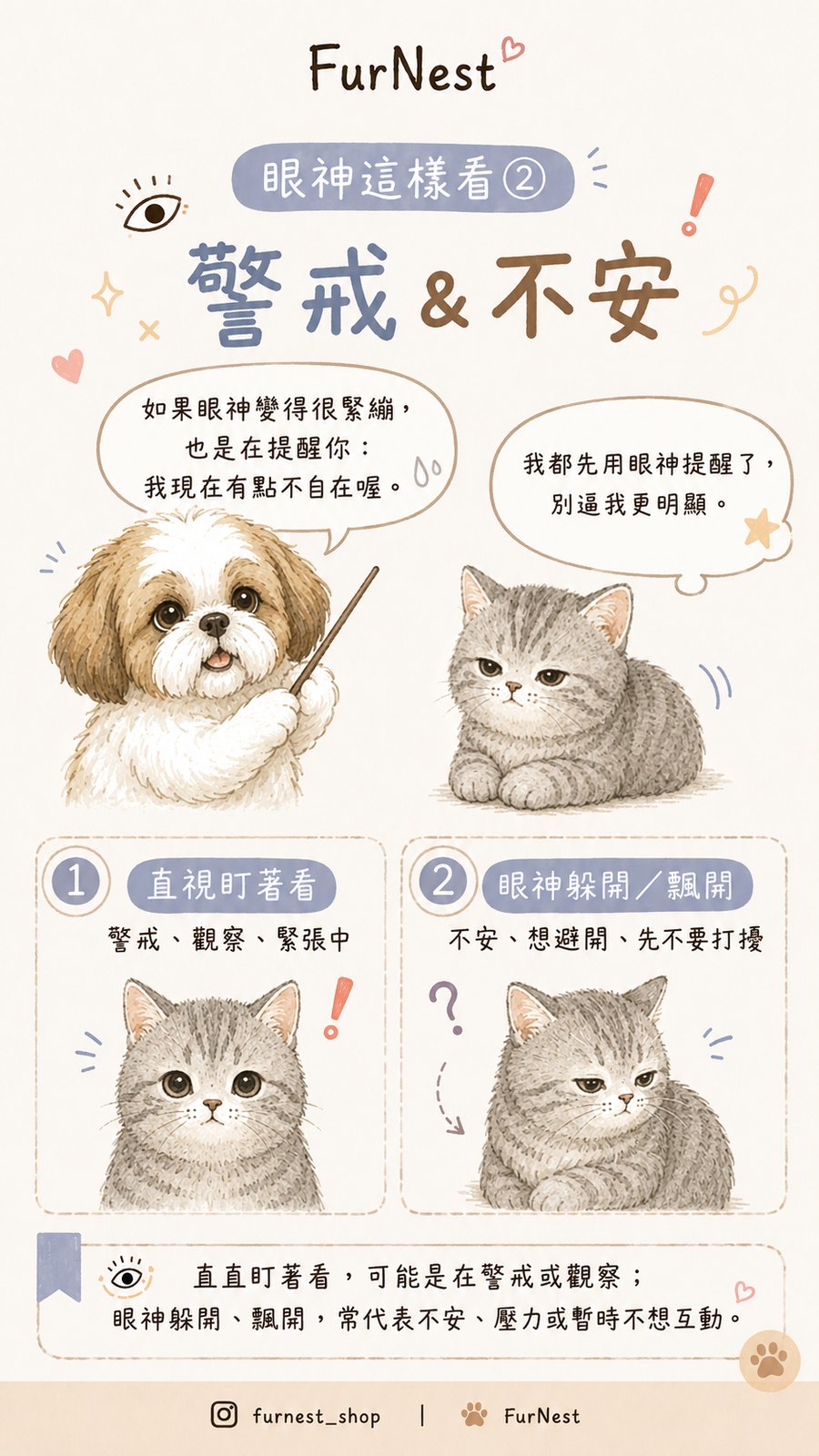 貓咪眼神與瞳孔變化小知識插圖，說明如何從眼睛觀察貓咪情緒與日常狀態 第 3 張