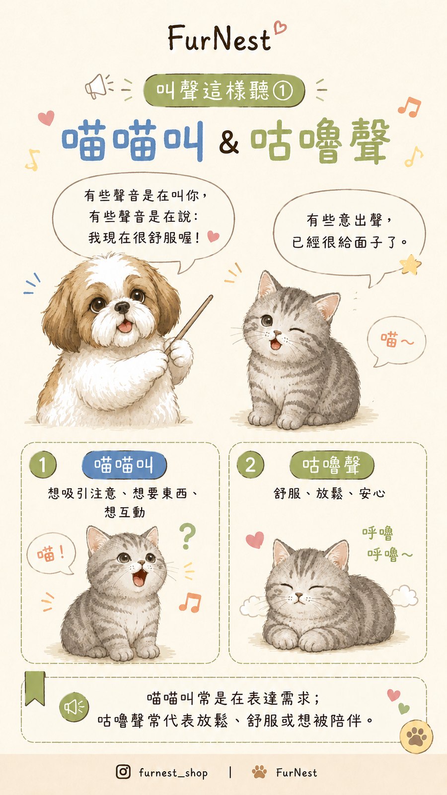 貓咪叫聲變化小知識插圖，說明如何從叫聲理解貓咪情緒與日常需求 第 2 張