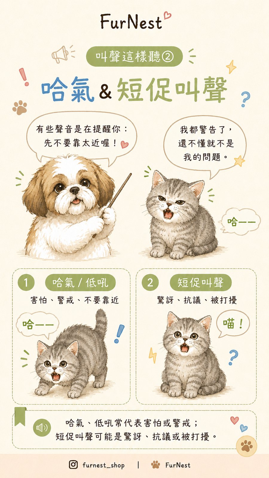 貓咪叫聲變化小知識插圖，說明如何從叫聲理解貓咪情緒與日常需求 第 3 張