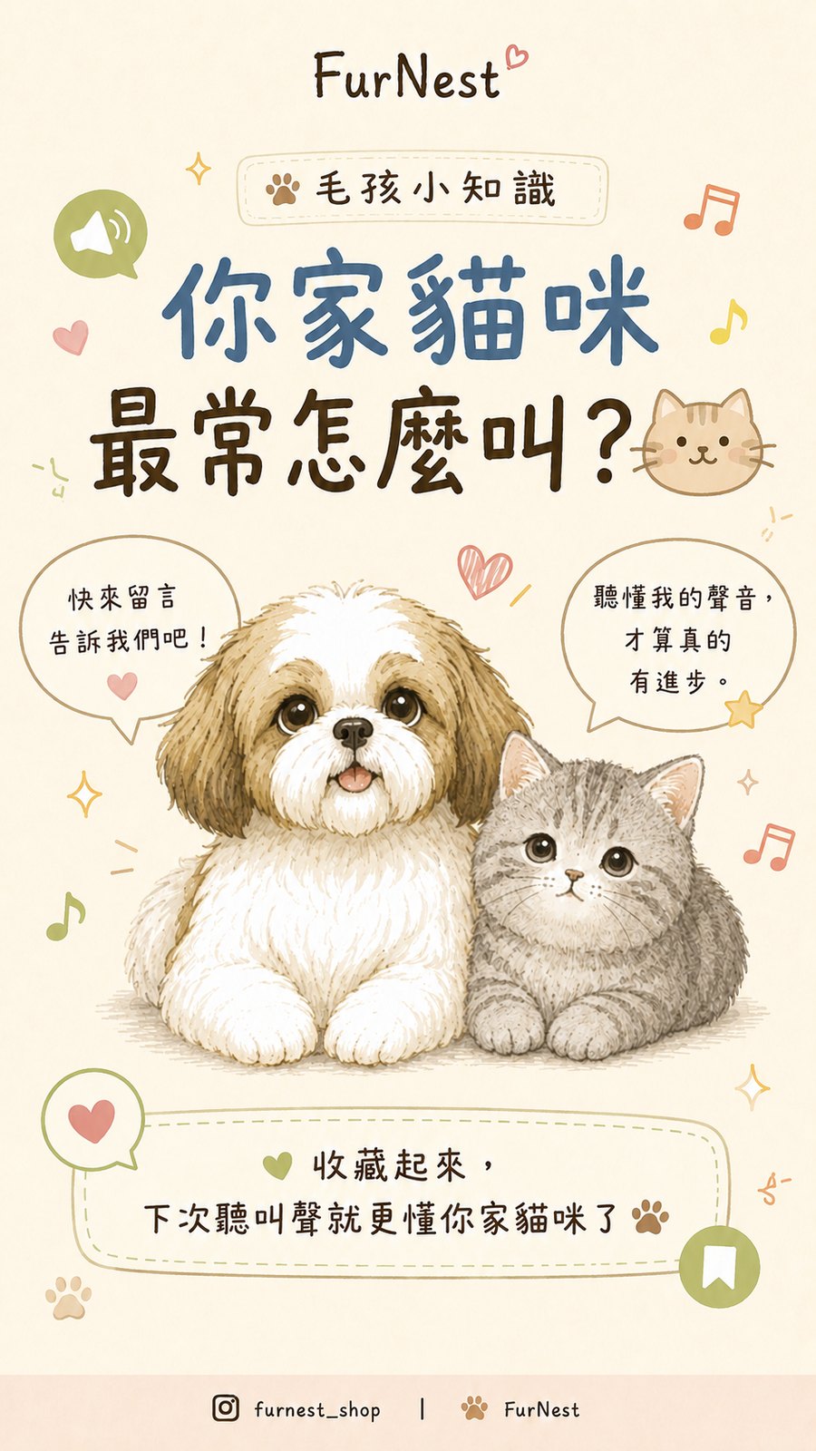 貓咪叫聲變化小知識插圖，說明如何從叫聲理解貓咪情緒與日常需求 第 4 張