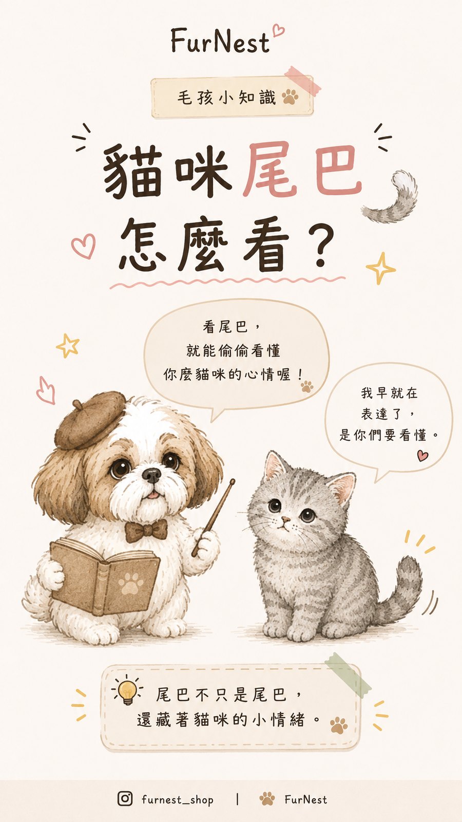 貓咪尾巴姿態變化小知識插圖，說明如何從尾巴觀察貓咪情緒與日常狀態 第 1 張