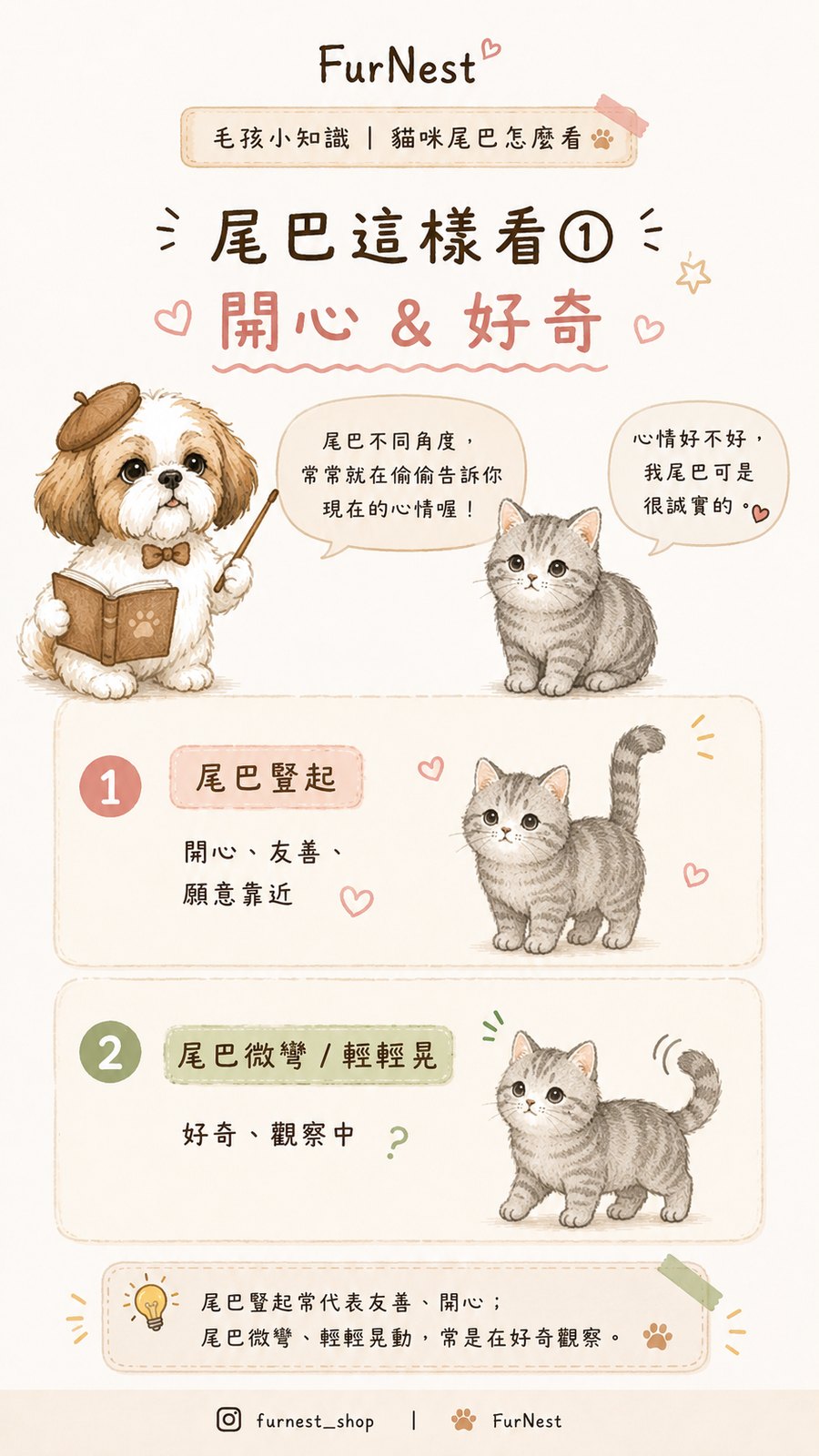 貓咪尾巴姿態變化小知識插圖，說明如何從尾巴觀察貓咪情緒與日常狀態 第 2 張
