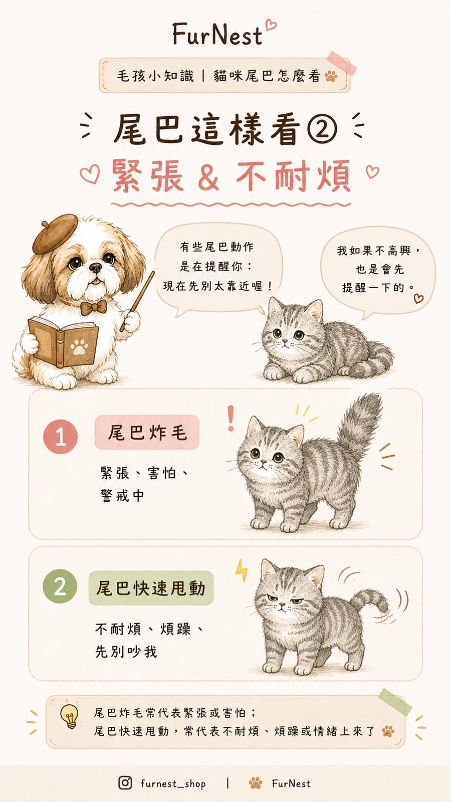 貓咪尾巴姿態變化小知識插圖，說明如何從尾巴觀察貓咪情緒與日常狀態 第 3 張