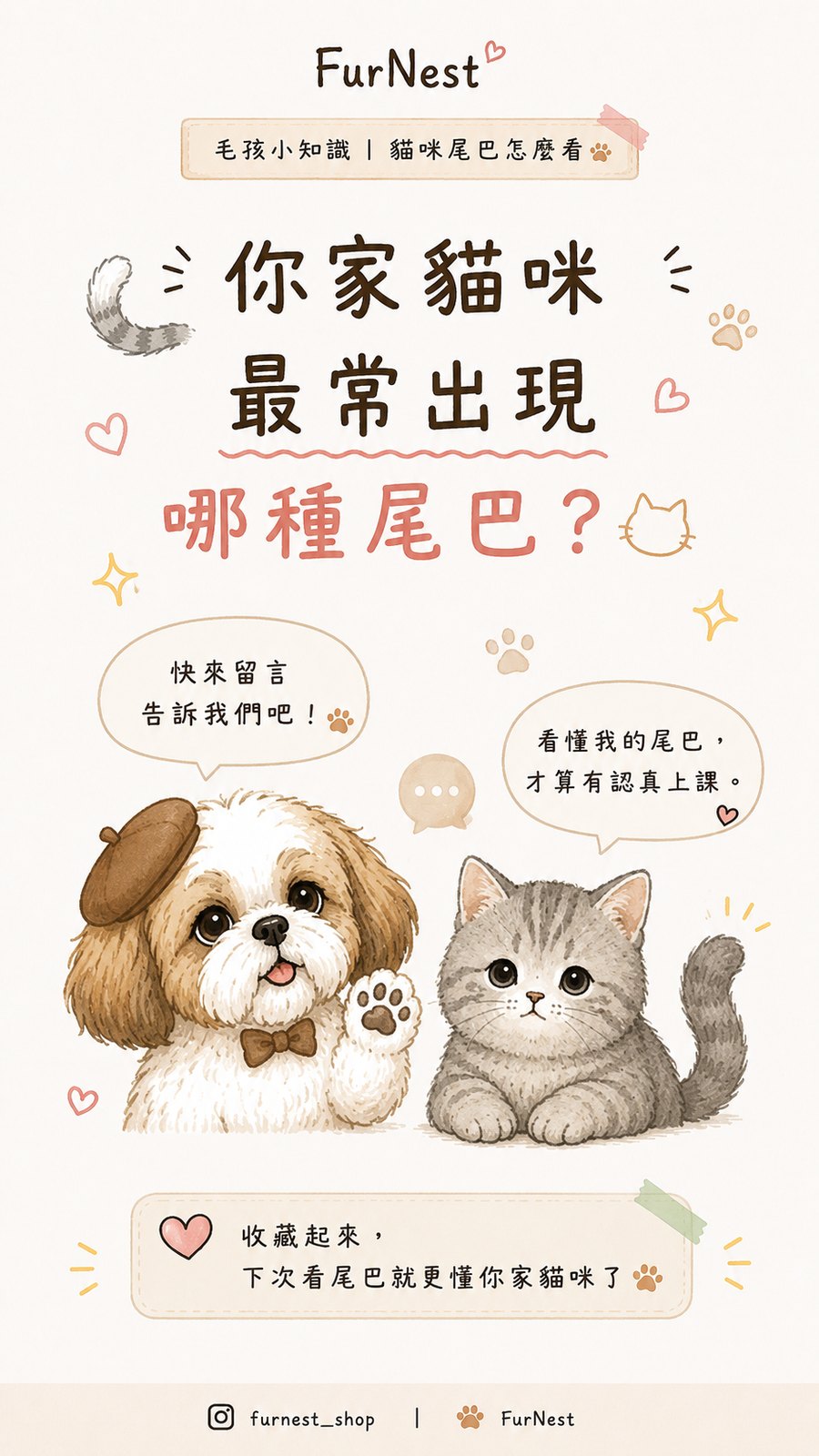 貓咪尾巴姿態變化小知識插圖，說明如何從尾巴觀察貓咪情緒與日常狀態 第 4 張
