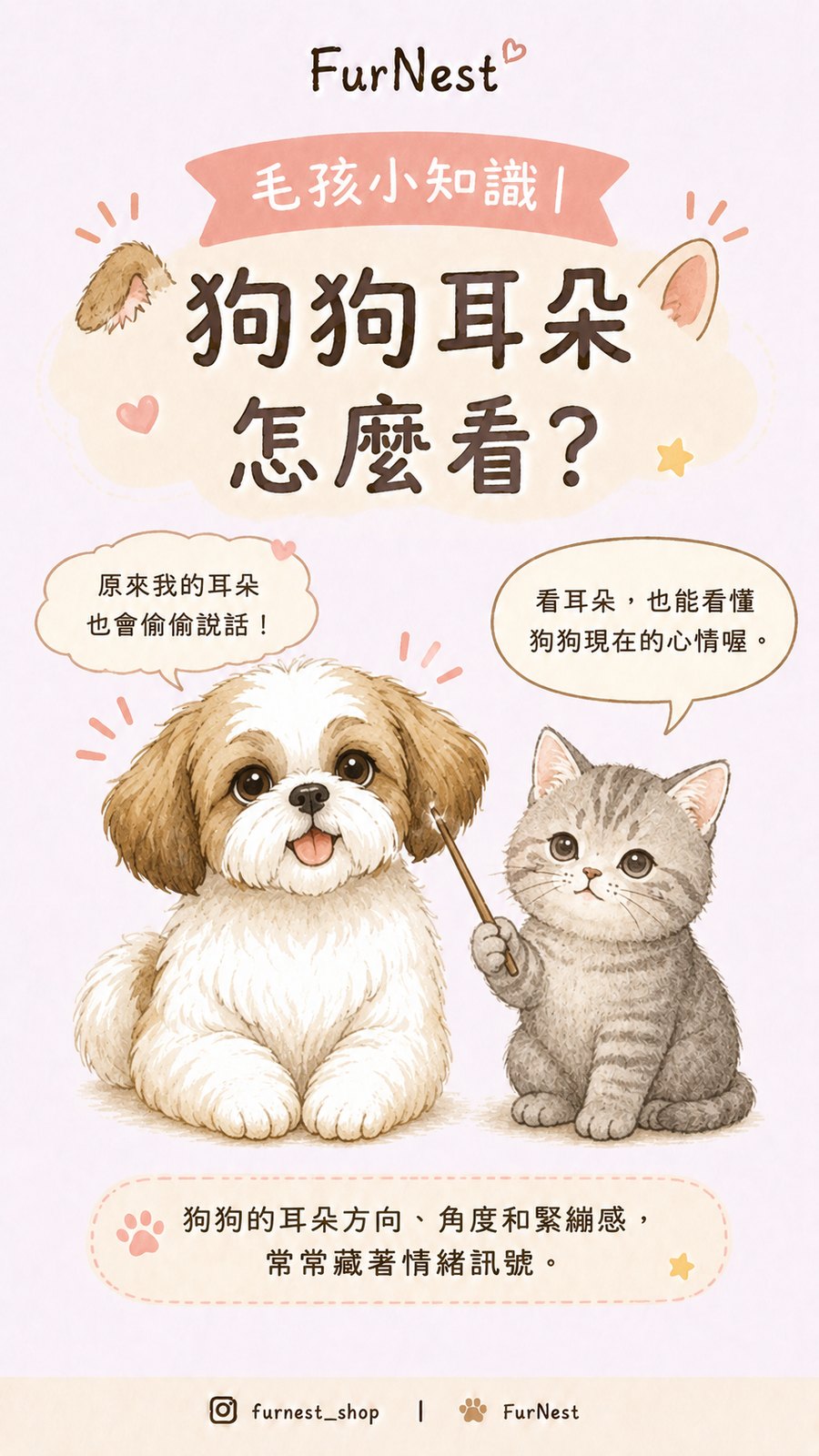 狗狗耳朵姿態變化小知識插圖，說明如何從耳朵觀察狗狗情緒與日常狀態 第 1 張