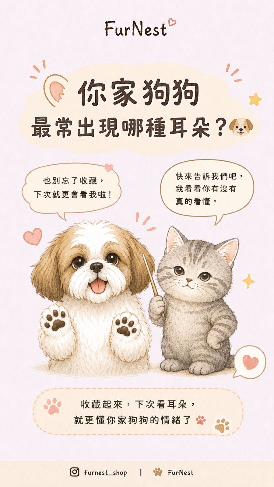 狗狗耳朵姿態變化小知識插圖，說明如何從耳朵觀察狗狗情緒與日常狀態 第 4 張