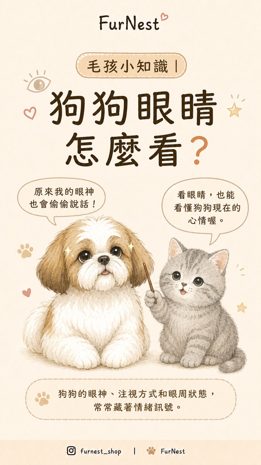 狗狗的眼睛怎麼看，狗狗眼神與情緒小知識插圖 第 1 張