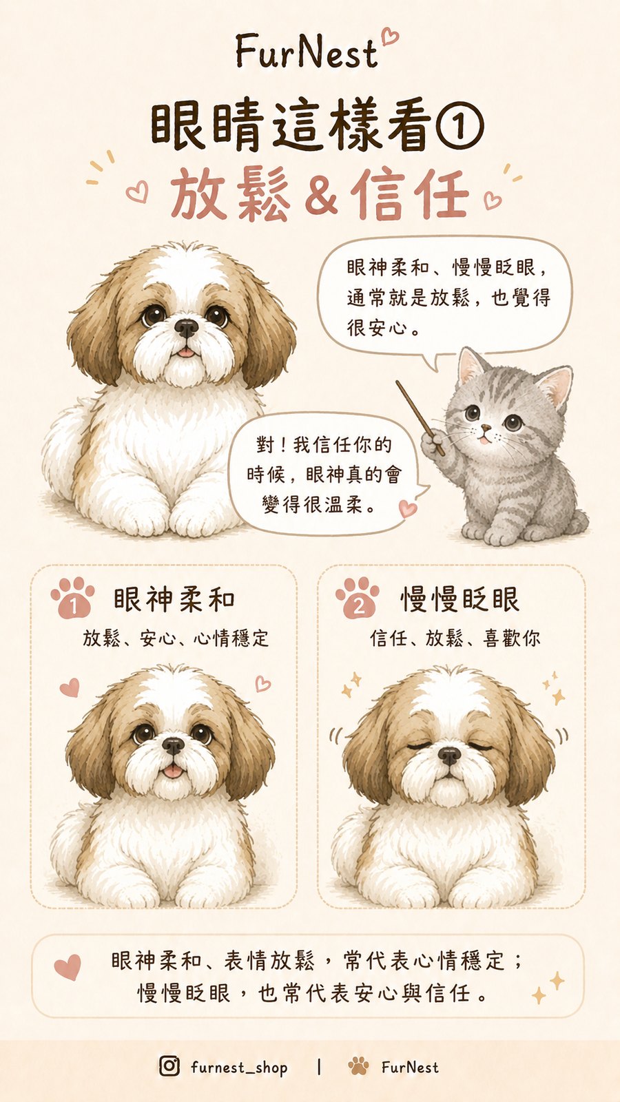 狗狗眼神與瞳孔變化小知識插圖，說明如何從眼睛觀察狗狗情緒與日常狀態 第 2 張