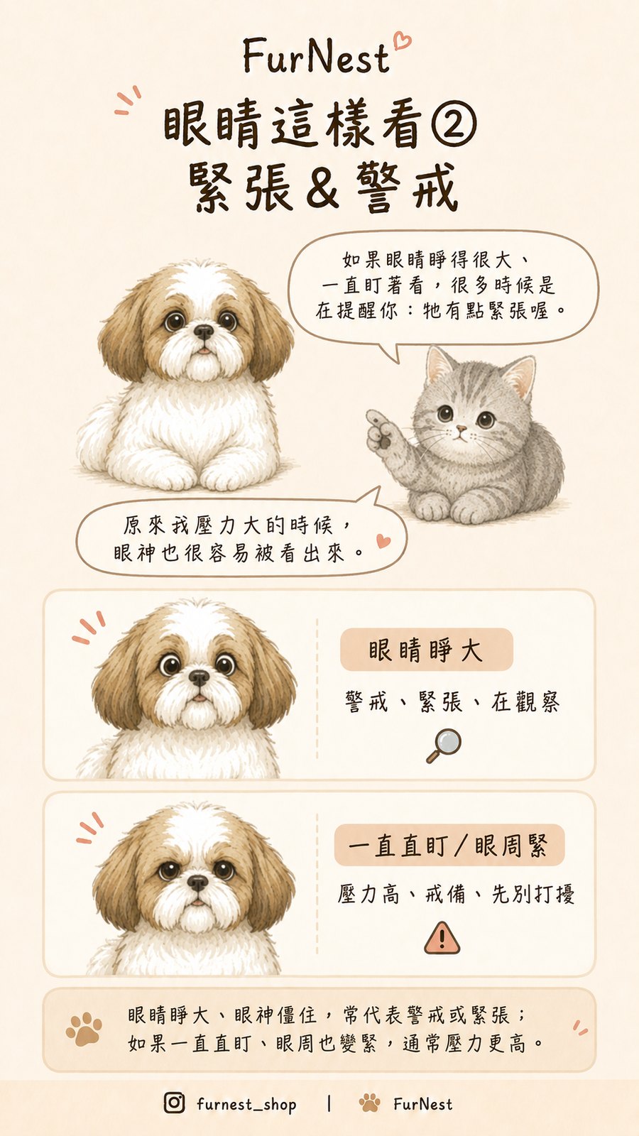 狗狗眼神與瞳孔變化小知識插圖，說明如何從眼睛觀察狗狗情緒與日常狀態 第 3 張