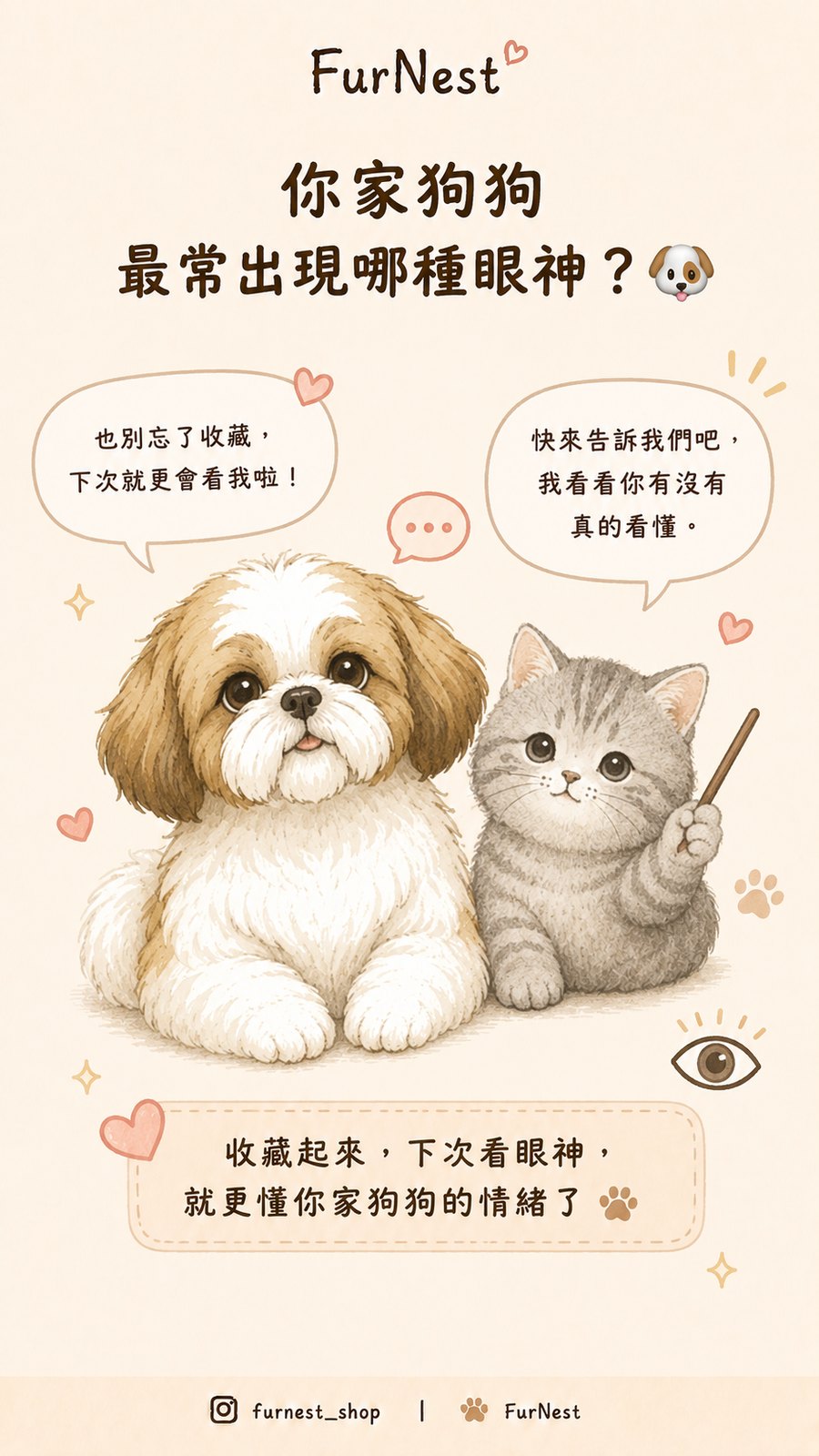 狗狗眼神與瞳孔變化小知識插圖，說明如何從眼睛觀察狗狗情緒與日常狀態 第 4 張