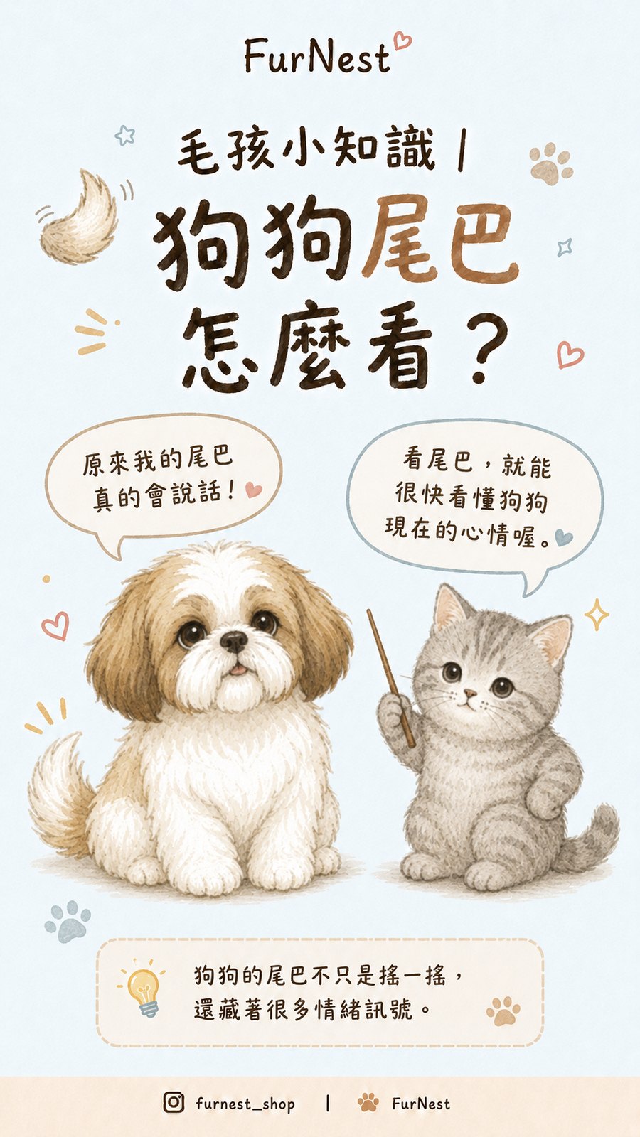 狗狗尾巴姿態變化小知識插圖，說明如何從尾巴觀察狗狗情緒與日常狀態 第 1 張
