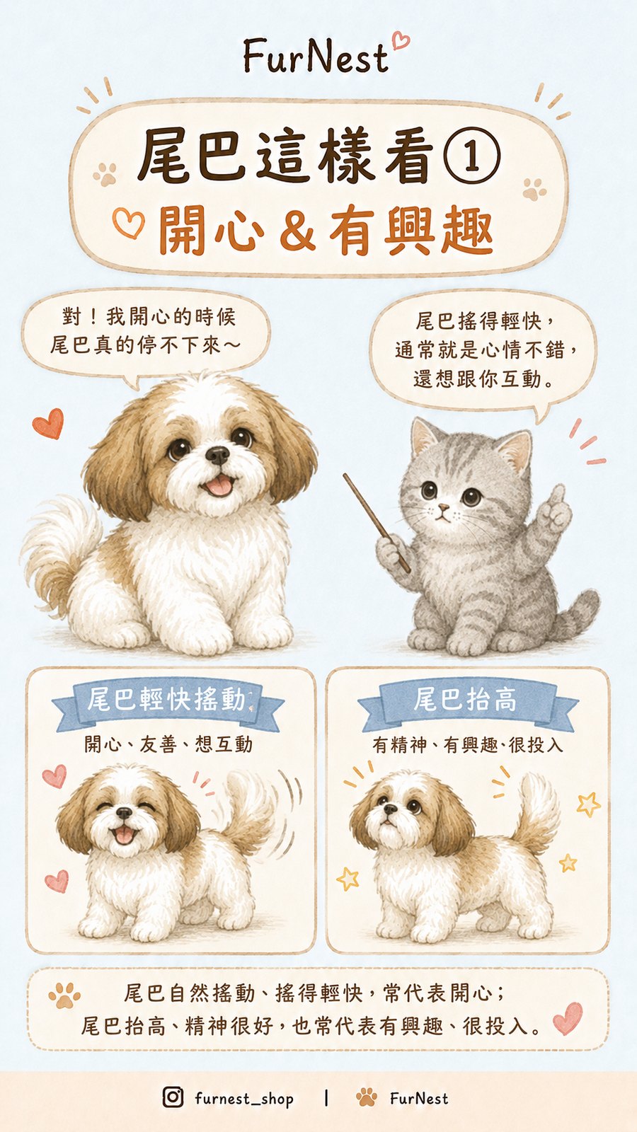 狗狗尾巴姿態變化小知識插圖，說明如何從尾巴觀察狗狗情緒與日常狀態 第 2 張