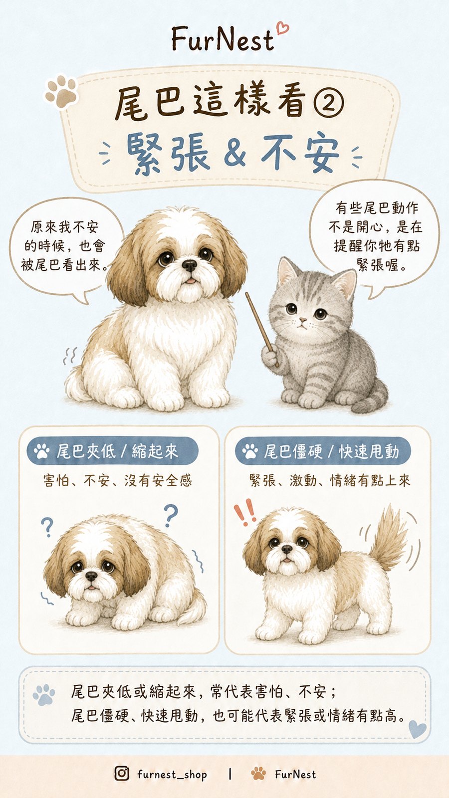 狗狗尾巴姿態變化小知識插圖，說明如何從尾巴觀察狗狗情緒與日常狀態 第 3 張